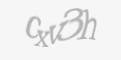 Защитный код