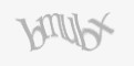 Защитный код