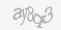 Защитный код